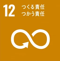 SDGs12