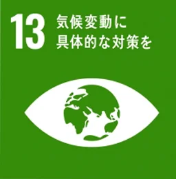 SDGs13